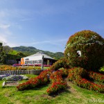 20160502 P5021460 150x150 - 国営明石海峡公園に行ってきました~淡路島その2~