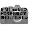 f0d207513e92d06e72420b9bc224f1b1 1 100x100 - OLYMPUSから12mm F1.2 PROレンズとハイエンドズームレンズが発表？