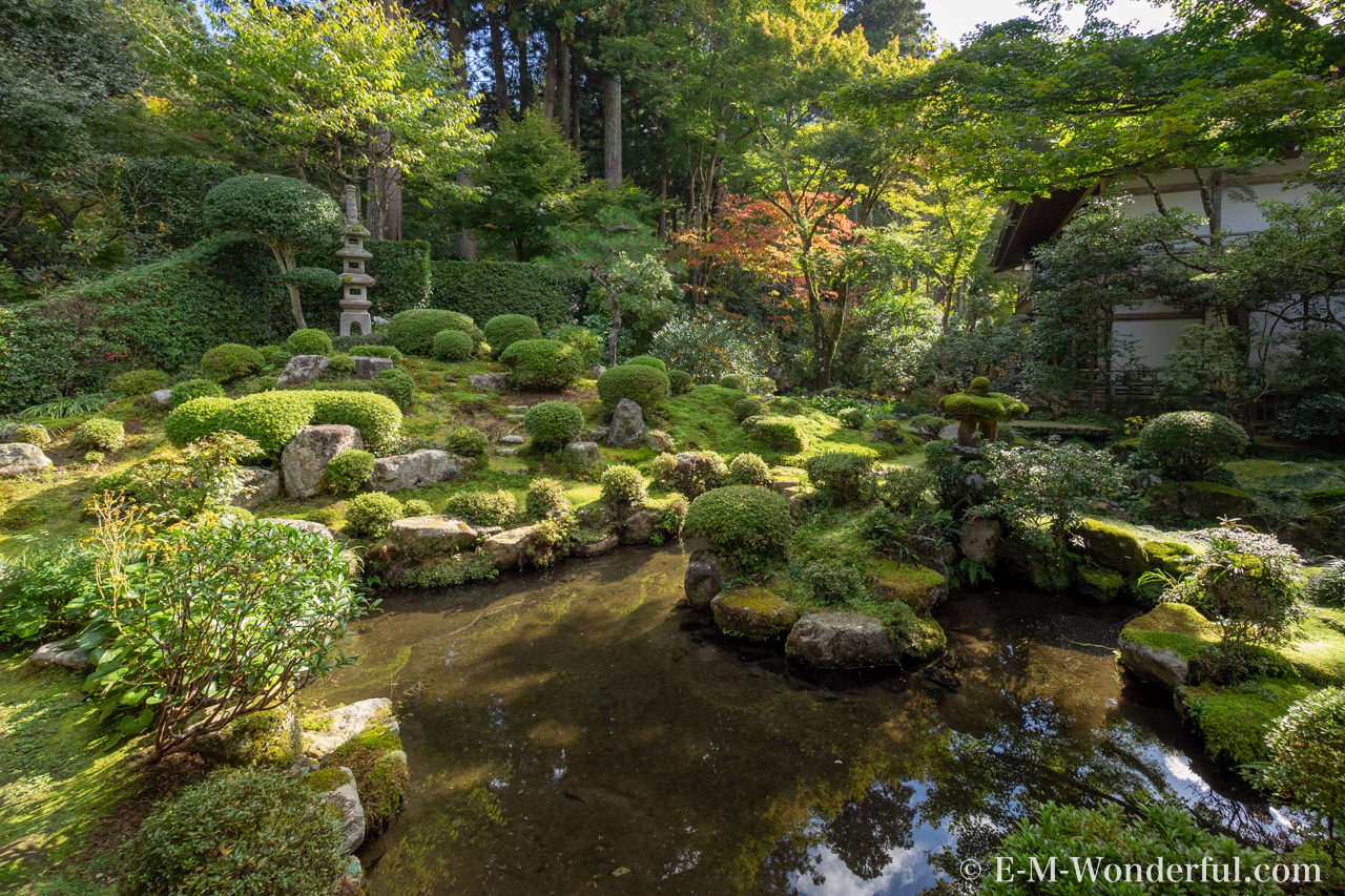 写真補正初心者にオススメしたい、LuminarのAccentAIフィルターの使い方 e6ef6c5817f7cd5ac634f0812f200df6 1 - 写真補正初心者にオススメしたい、LuminarのAccentAIフィルターの使い方