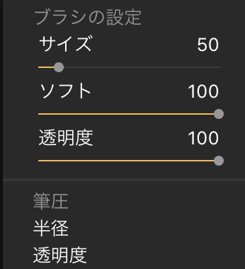 85bc4c3e106ad6efe8467d8105879a0e - Luminar初心者に知ってもらいたい、クロップ・自由変形・コピー&スタンプ・消去ツールの使い方