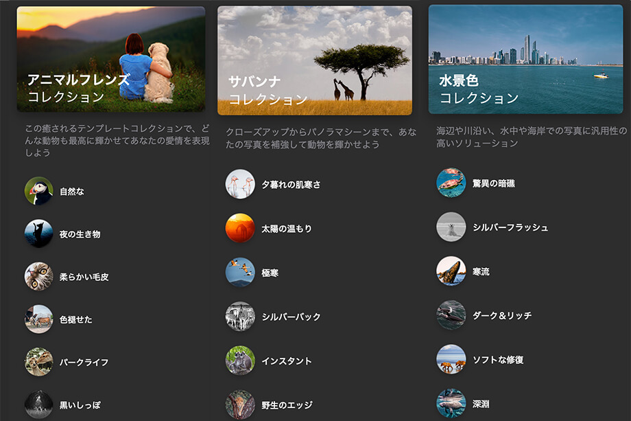 596c83b16dc8b00c53b1c3f9699cd401 - ワンクリック写真編集、Luminar Neo プリセット機能の使い方(テンプレート)
