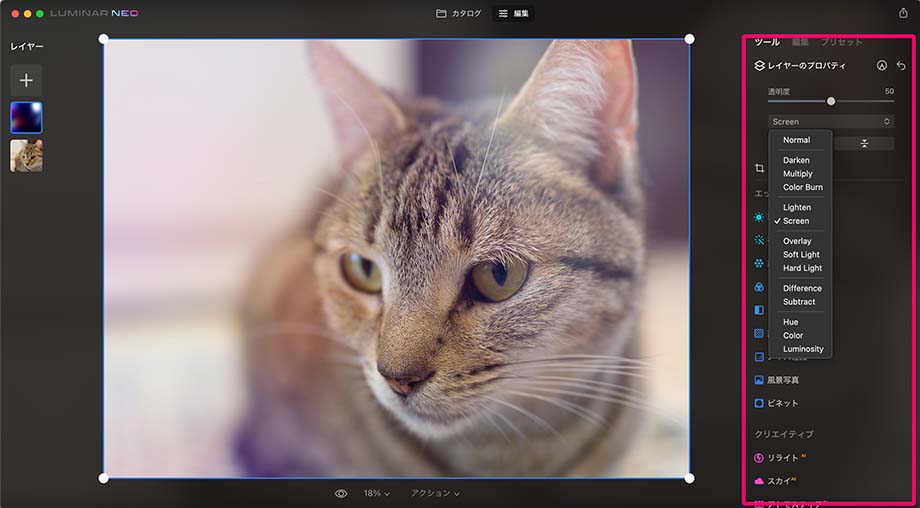 e96131d5cdff8842335cbae49b9cd15d - Luminar Neoとは｜価格・主な機能や使い方・最新情報を徹底解説【2025年版】