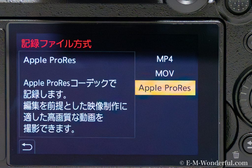 1b1e2a08445f44ceaa77fd78f0657c27 1024x682 - 【LUMIX S5ⅡX レビュー 】良い点・デメリットやお勧めアクセサリーを紹介｜ Panasonic S5Ⅱとの違い