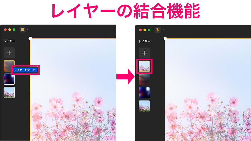 2025 02 28 5.16.39 - Luminar Neoとは｜価格・主な機能や使い方・最新情報を徹底解説【2025年版】